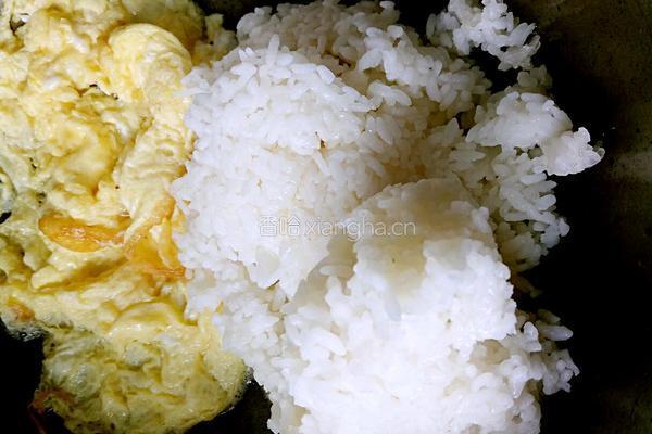 蛤蜊炒饭的做法图解8