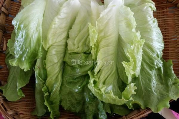 凉拌生菜的做法图解4