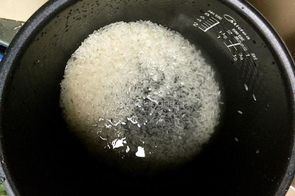 港式皮蛋瘦肉粥的做法图解2