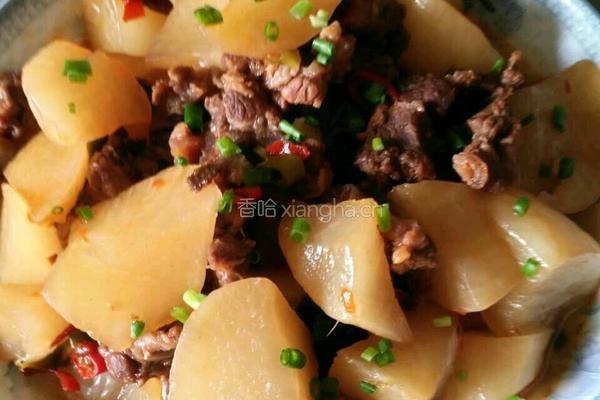 萝卜焖牛腩的做法图解8
