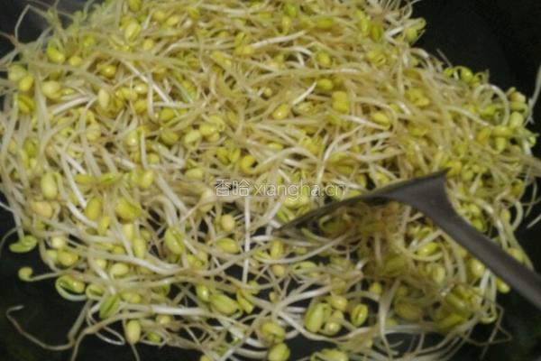 醋溜豆芽的做法图解4