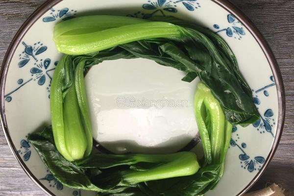 东坡肉的做法图解12