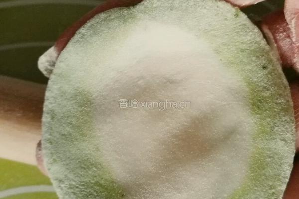 白菜（百财）饺子的做法图解8