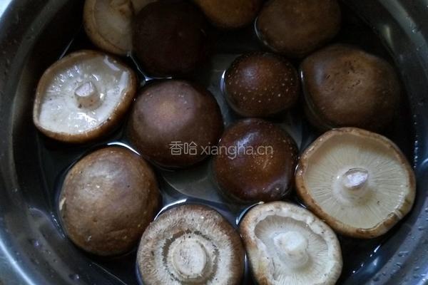 红烧香菇鸡块的做法图解5