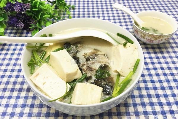 白炖鲢鱼汤的做法图解8