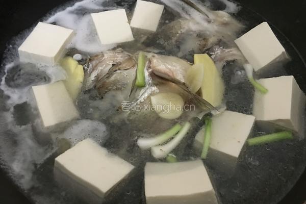 白炖鲢鱼汤的做法图解6