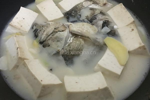 白炖鲢鱼汤的做法图解7