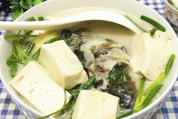 白炖鲢鱼汤的做法图解9