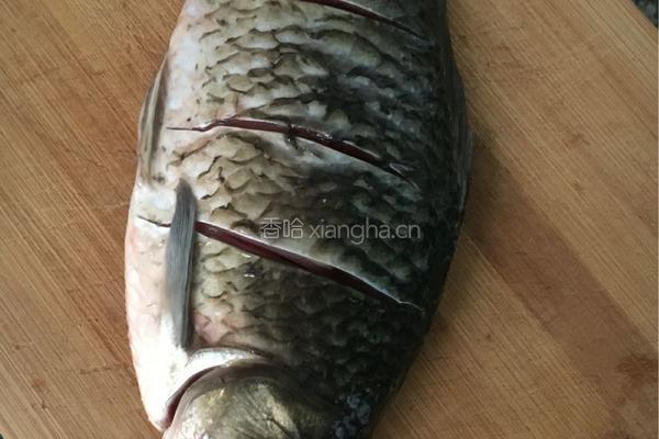 清蒸金针菇鲫鱼的做法图解1