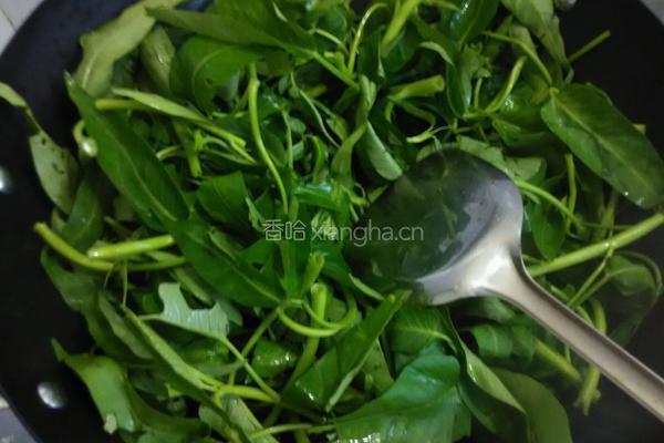 炒空心菜的做法图解4