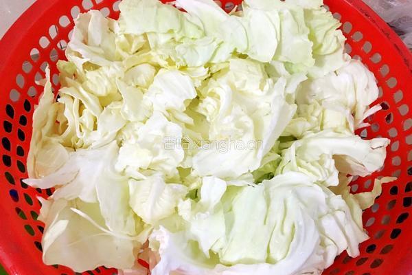 锅炝圆白菜的做法图解4