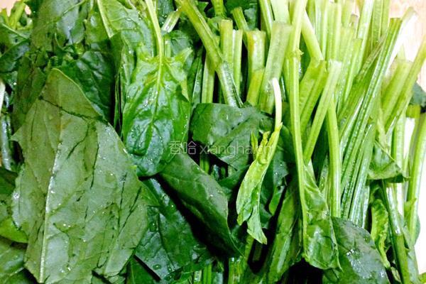 猪肝炒菠菜的做法图解3