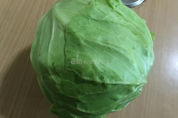 凉拌圆白菜的做法图解1