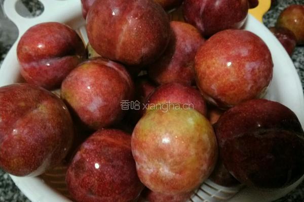 李子果酱的做法图解1