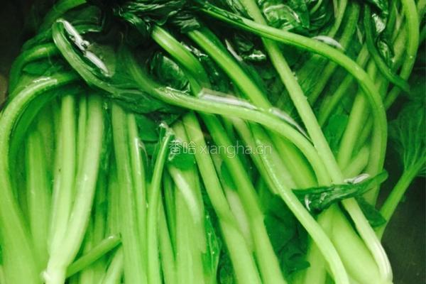 炝油菜的做法图解3