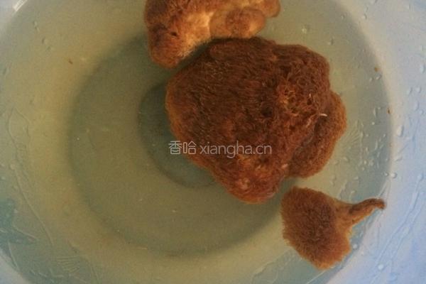 猴头菇炖鸡的做法图解1