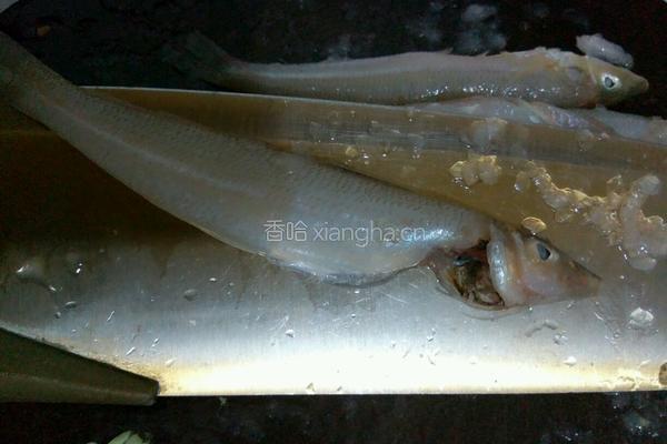 干煎沙丁鱼的做法图解2