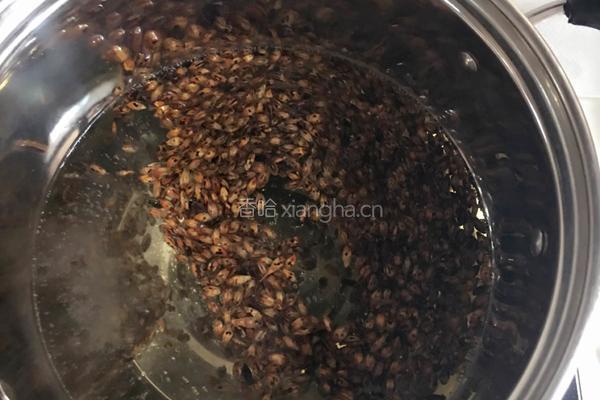 红枣大麦茶的做法图解3
