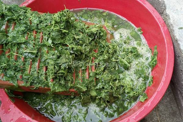 神仙豆腐的做法图解4