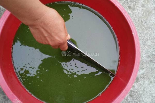 神仙豆腐的做法图解9
