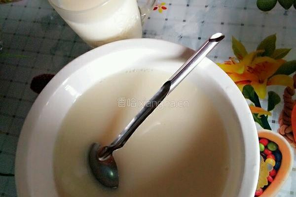 冰豆浆的做法图解5