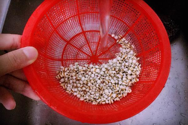 薏米绿豆粥的做法图解1
