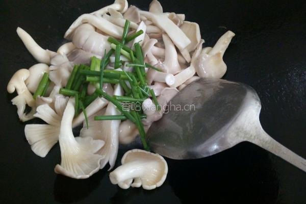 素炒平菇的做法图解6