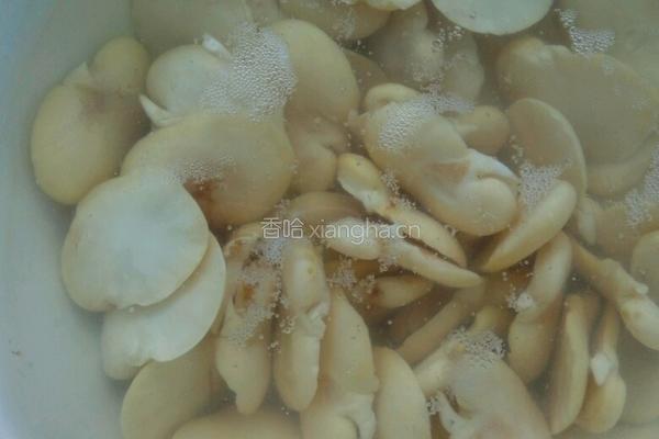 黄瓜烧豆瓣的做法图解1