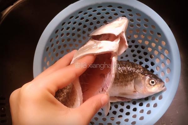 麻辣鲫鱼的做法图解2