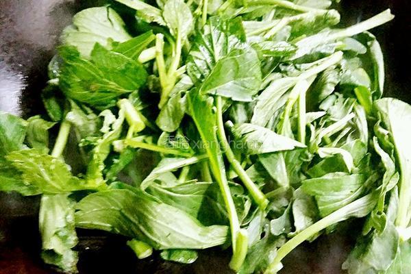 千张烧青菜的做法图解4