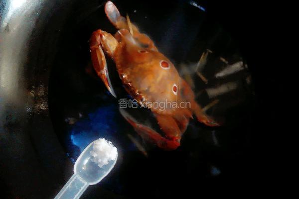 煮螃蟹的做法图解5