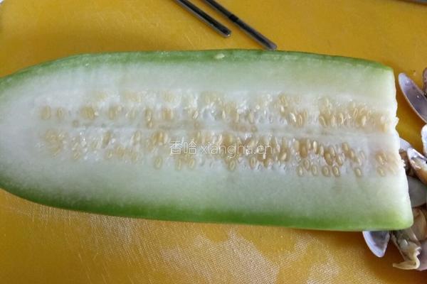 蛤蜊冬瓜汤的做法图解1