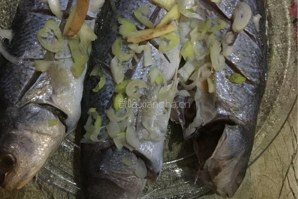 微波炉烤鱼的做法图解4