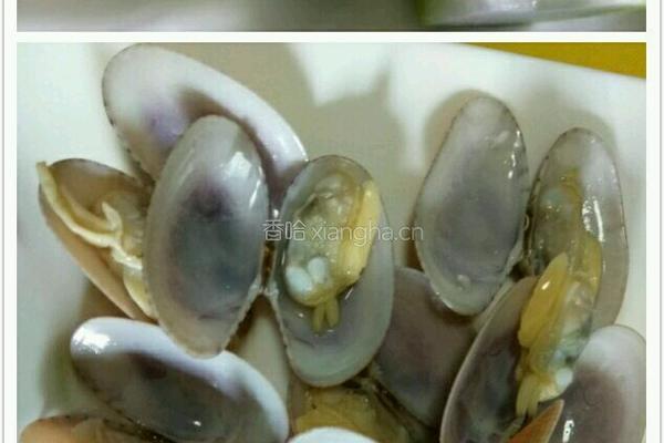 冬瓜蛤蜊汤的做法图解1