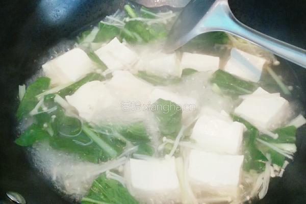 小白菜豆腐汤的做法图解6