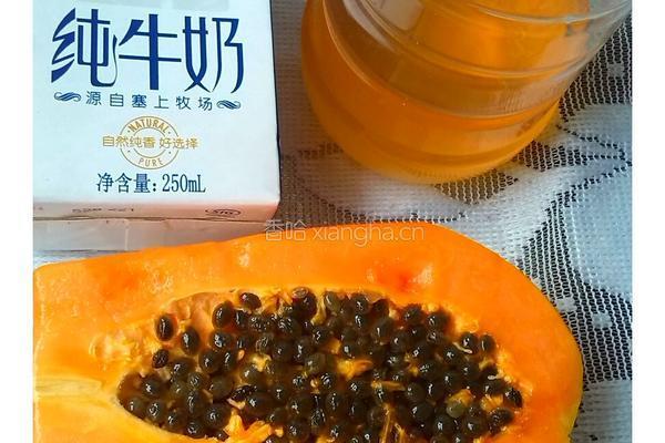 鲜榨木瓜牛奶的做法图解1