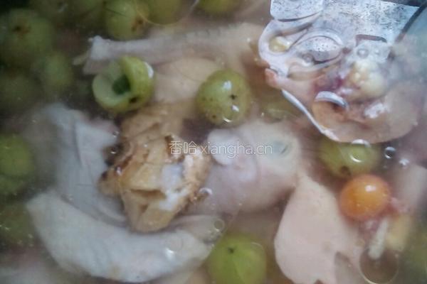 余甘煮鸡的做法图解3