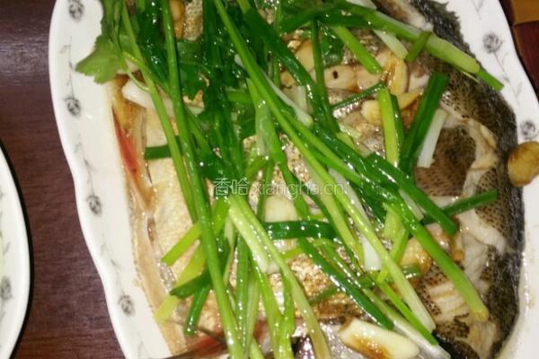 清蒸鲳鱼的做法图解4