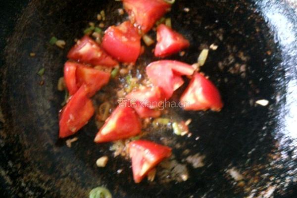 茄子西红柿的做法图解9