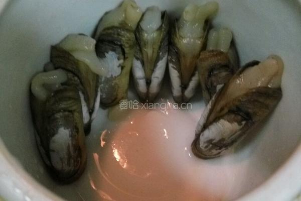 瘦肉丝炖老蛏的做法图解4