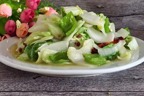 小炒圆白菜