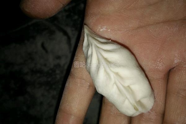 萝卜葱肉家常饺子的做法图解7