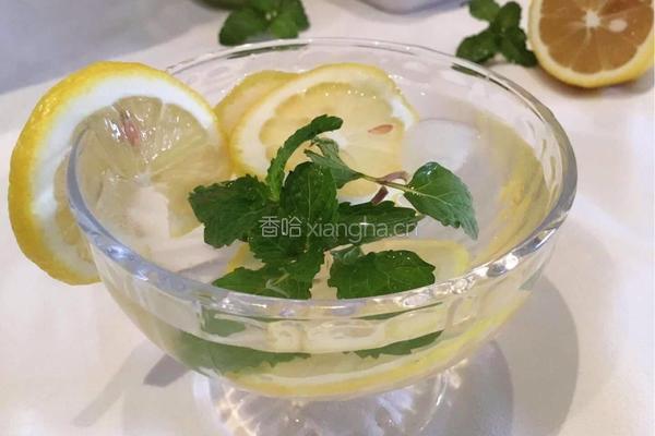 柠檬薄荷水的做法图解5