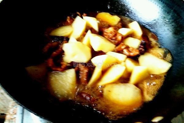 红烧土豆牛腩的做法图解11