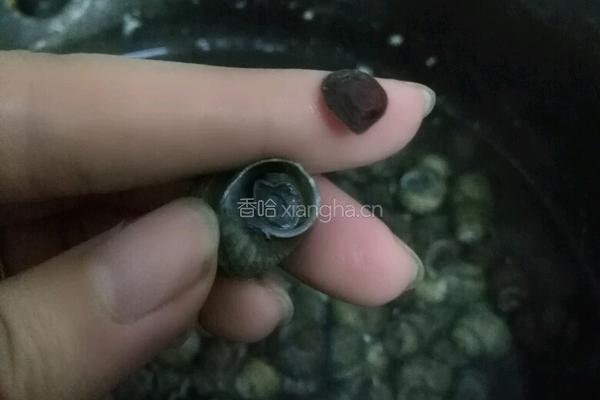 爆炒田螺的做法图解3