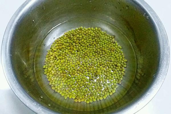 高压锅绿豆粥的做法图解1