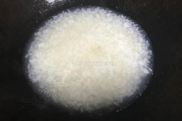 皮蛋瘦肉粥的做法图解4