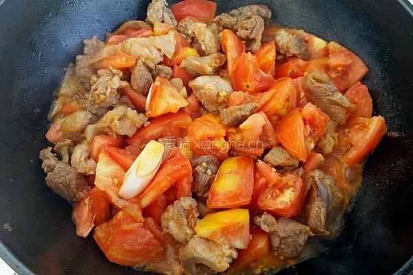 番茄牛肉汤的做法图解7