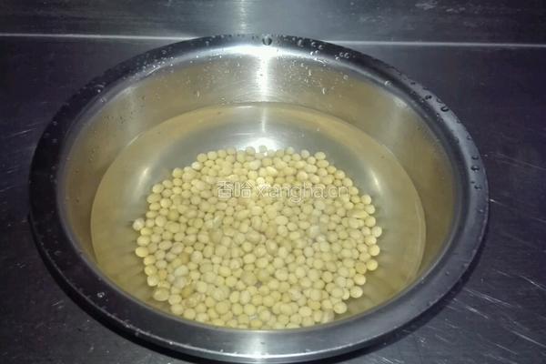 核桃花生豆浆的做法图解1