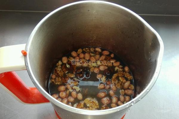 核桃花生豆浆的做法图解5